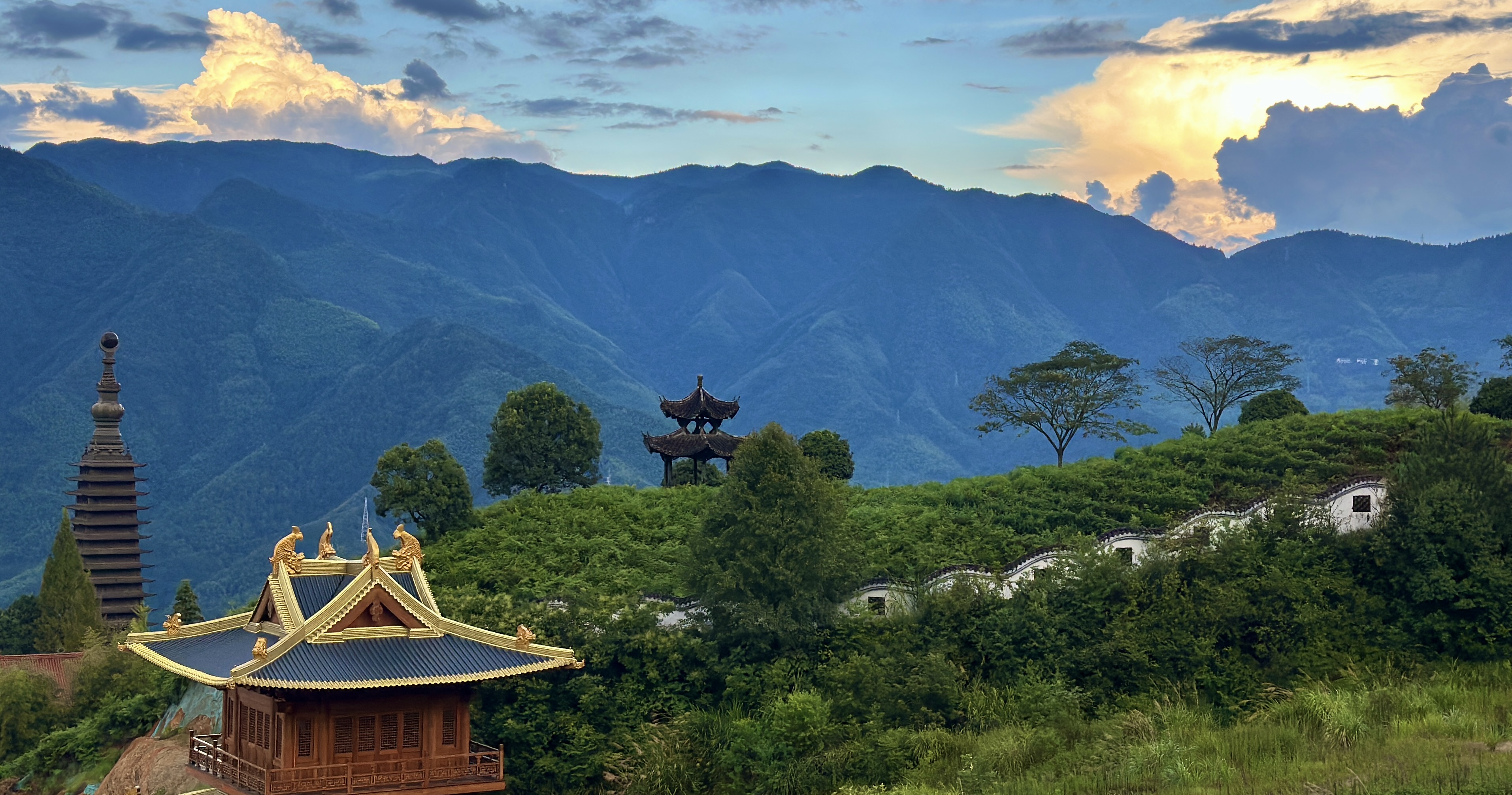 景宁茶山全景